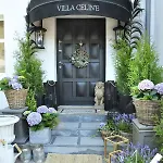 Apartment Celine