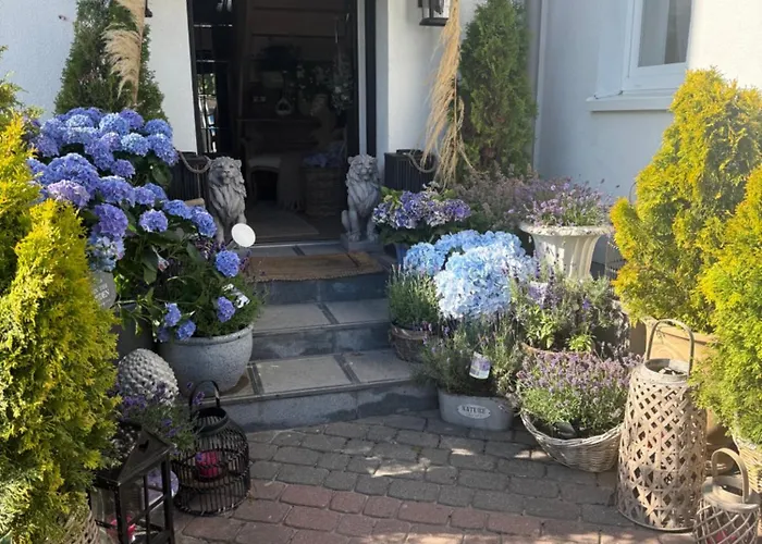 Celine * Мельно